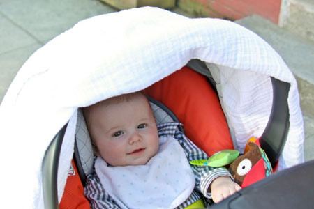 Strollerw