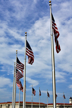 Flagsw