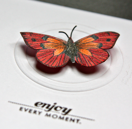 ButterflyDetail