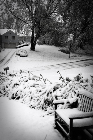 4.23AprilSnoww