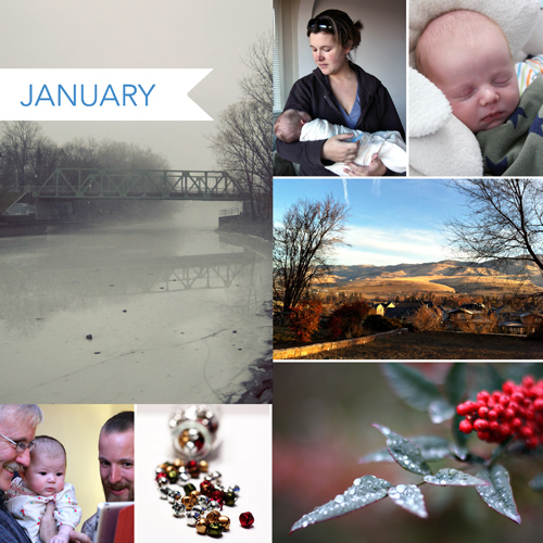 2012_collageJANw