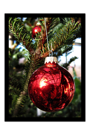 Ornament copyFramed