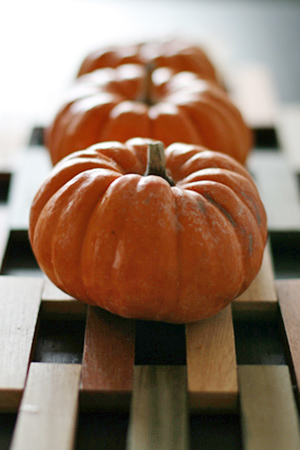 3Pumpkinsw