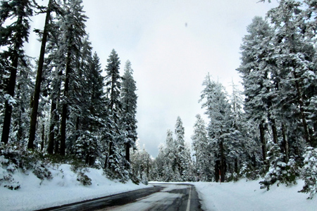 RoadMt.Ashland4w