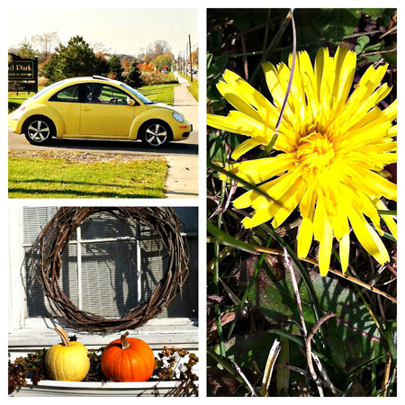 DandelionCollage