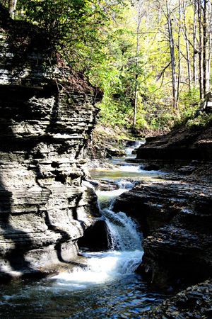 Falls1w
