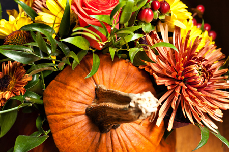 PumpkinFlowersw