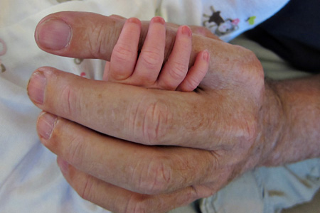 Grandpa'sHandsw