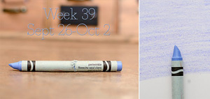 Week 39 periwinkle