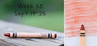 Week-38_Bittersweet