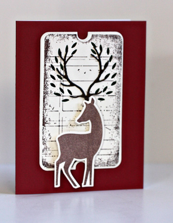 Reindeer