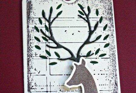ReindeerClose
