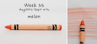 Week 35 melon