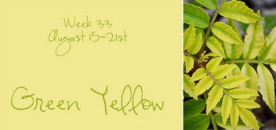 Green yellow week 33
