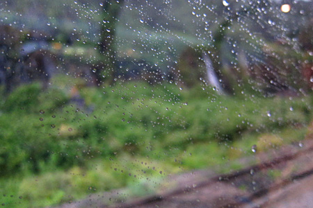 Rainw1