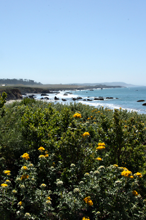 Coastw