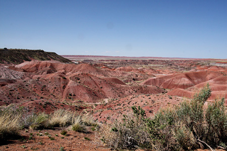 PaintedDesertw