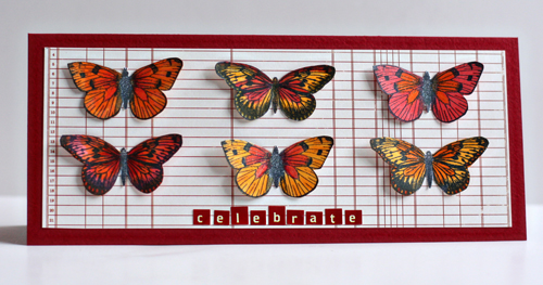 Butterflies