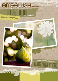 DecorativeTrim_ColorTrimsChallenge