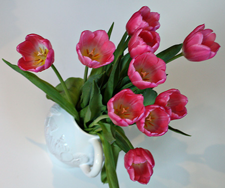 Tulips2w