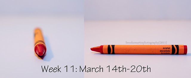 Wk11 March 14_20_Scarlet