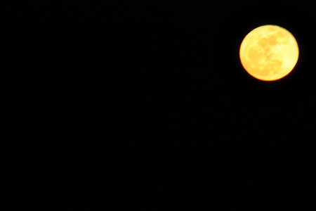 FullMoonw