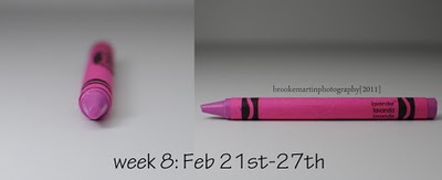 Wk8 Feb21_27_Lavender