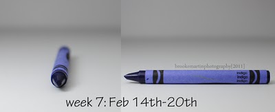 Wk7 Feb14_20_Indigo