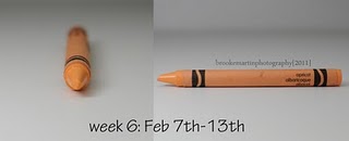 Wk6 feb7_13_Apricot
