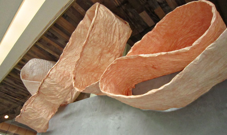 AnthroBanner2w