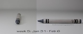 Wk5 Jan31_feb6_Gray