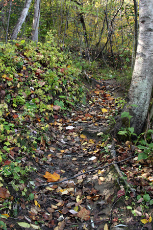 TrailFavew