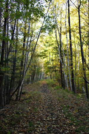 Trail1w