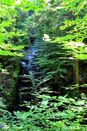 Waterfall4w