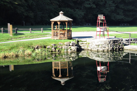 Reflection1w