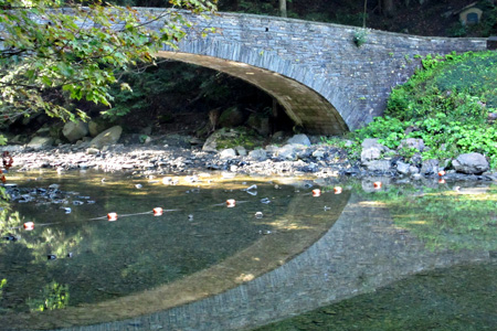 Reflection3w