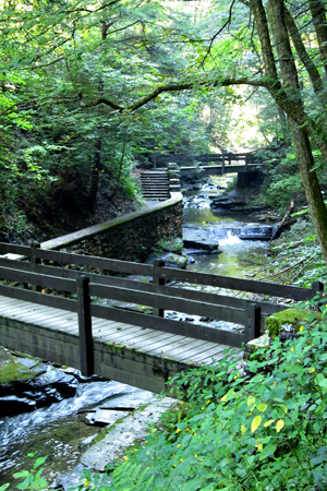 Bridgesw