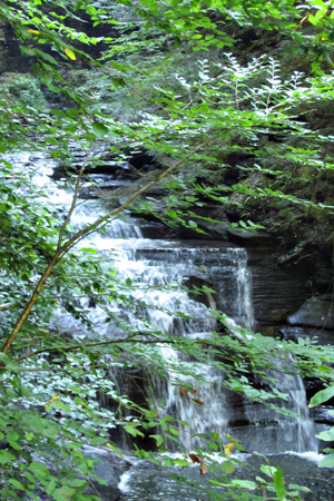 Waterfall2w
