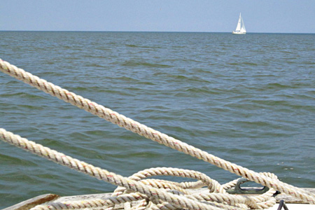 Lines&Boatw