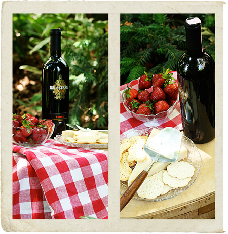 PicnicDiptychwcopy