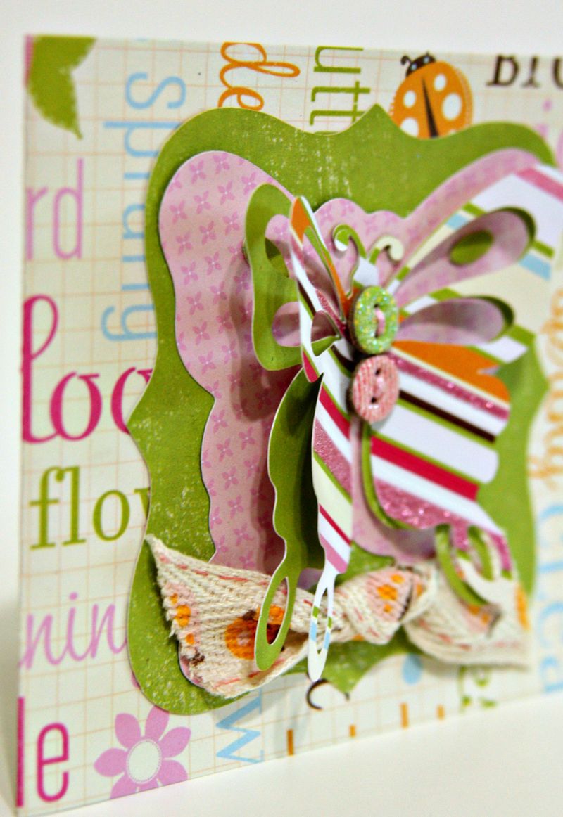 Butterfly3D