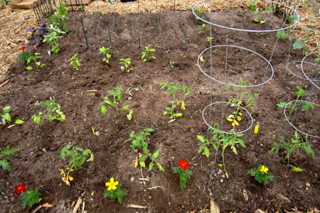 Garden2w