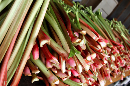 Rhubarbw