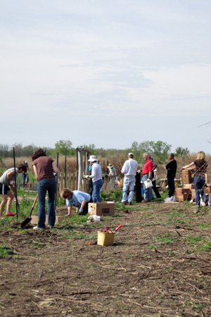 GardenWorkersw