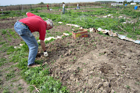 GardenPlot2_5.1w