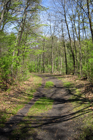 TrailFisheyew