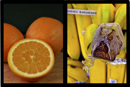 FruitDiptychw