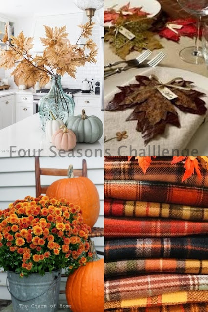 FS fall 231
