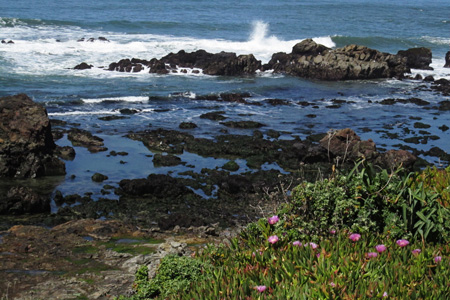 3.27Pacific1w