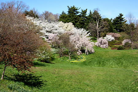 Parkw
